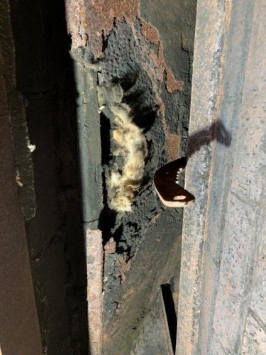 Chimney Sweep, Inspection, and Cleaning